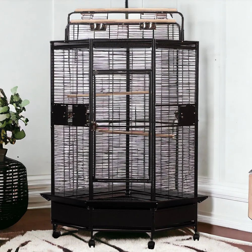 A & E Cage Co - Large Corner Bird Cage with Play Top, 33''x33''x72'' - Quill & Roost