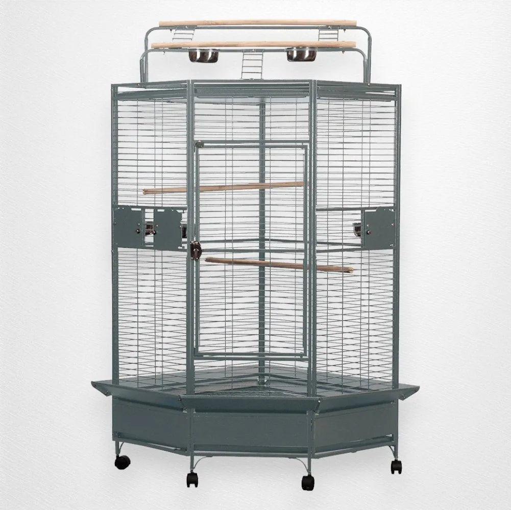 A & E Cage Co - Large Corner Bird Cage with Play Top, 33''x33''x72'' - Quill & Roost