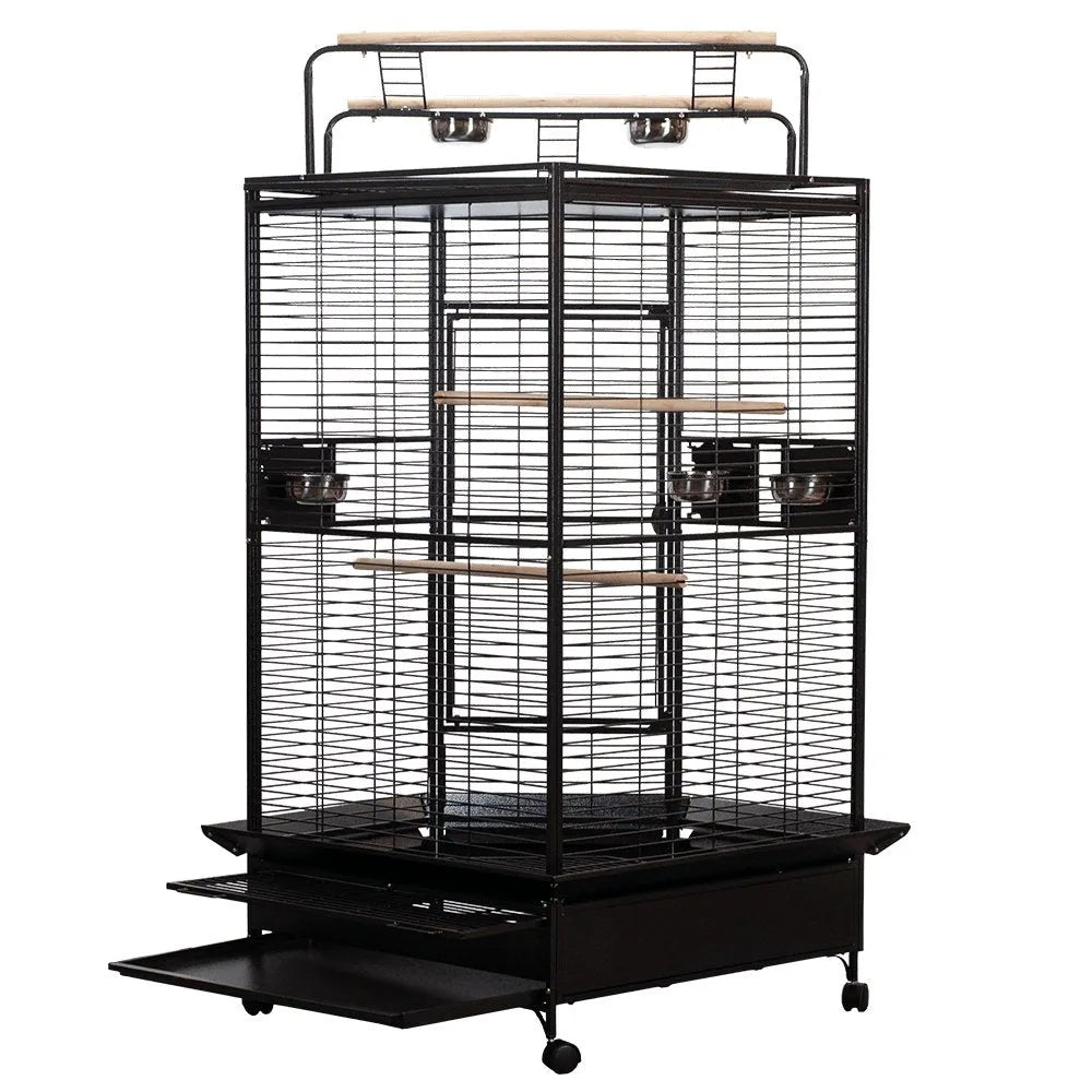 A & E Cage Co - Large Corner Bird Cage with Play Top, 33''x33''x72'' - Quill & Roost