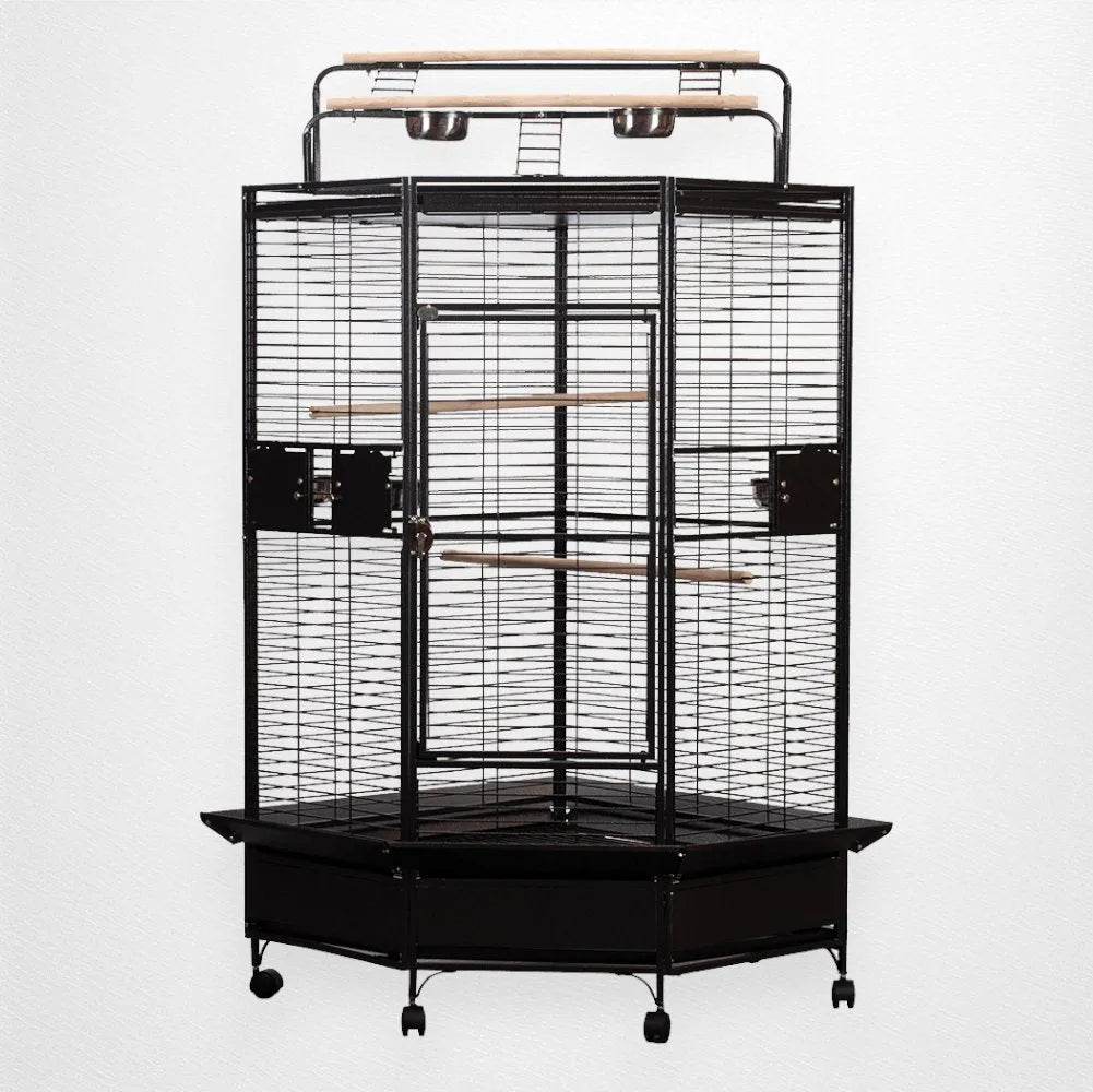 A & E Cage Co - Large Corner Bird Cage with Play Top, 33''x33''x72'' - Quill & Roost