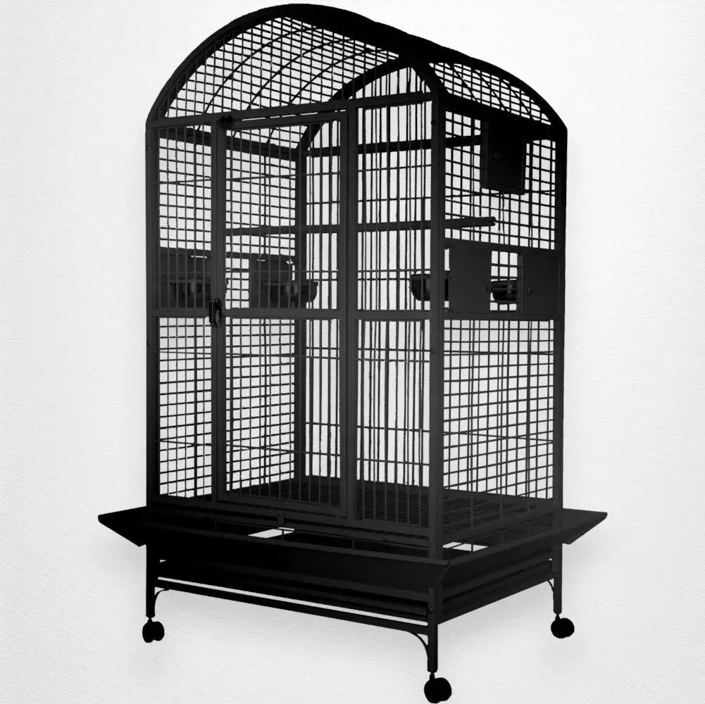 A & E Cage Co - Large Dome Top Bird Cage, 36"x28"x65" - Quill & Roost