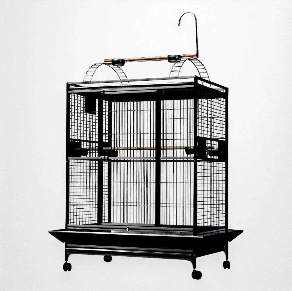 A & E Cage Co - Large Macaw and Cockatoo Play Top Bird Cage - Quill & Roost