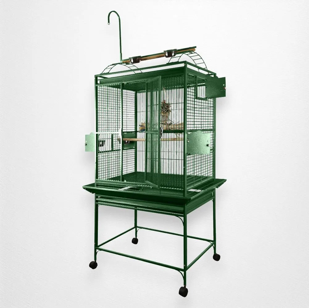 A & E Cage Co - Play Top Bird Cage, 32"X23" - Quill & Roost