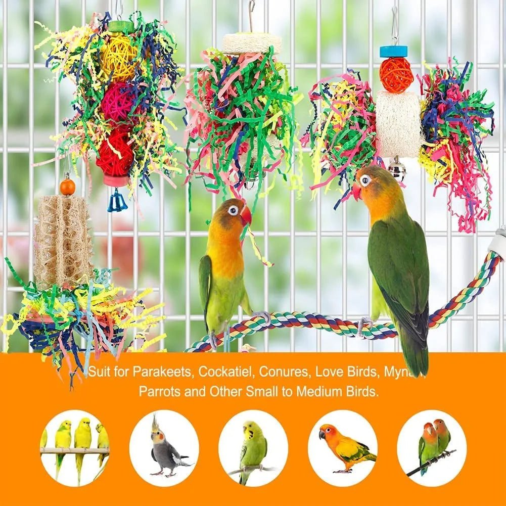 Conure accessories hotsell