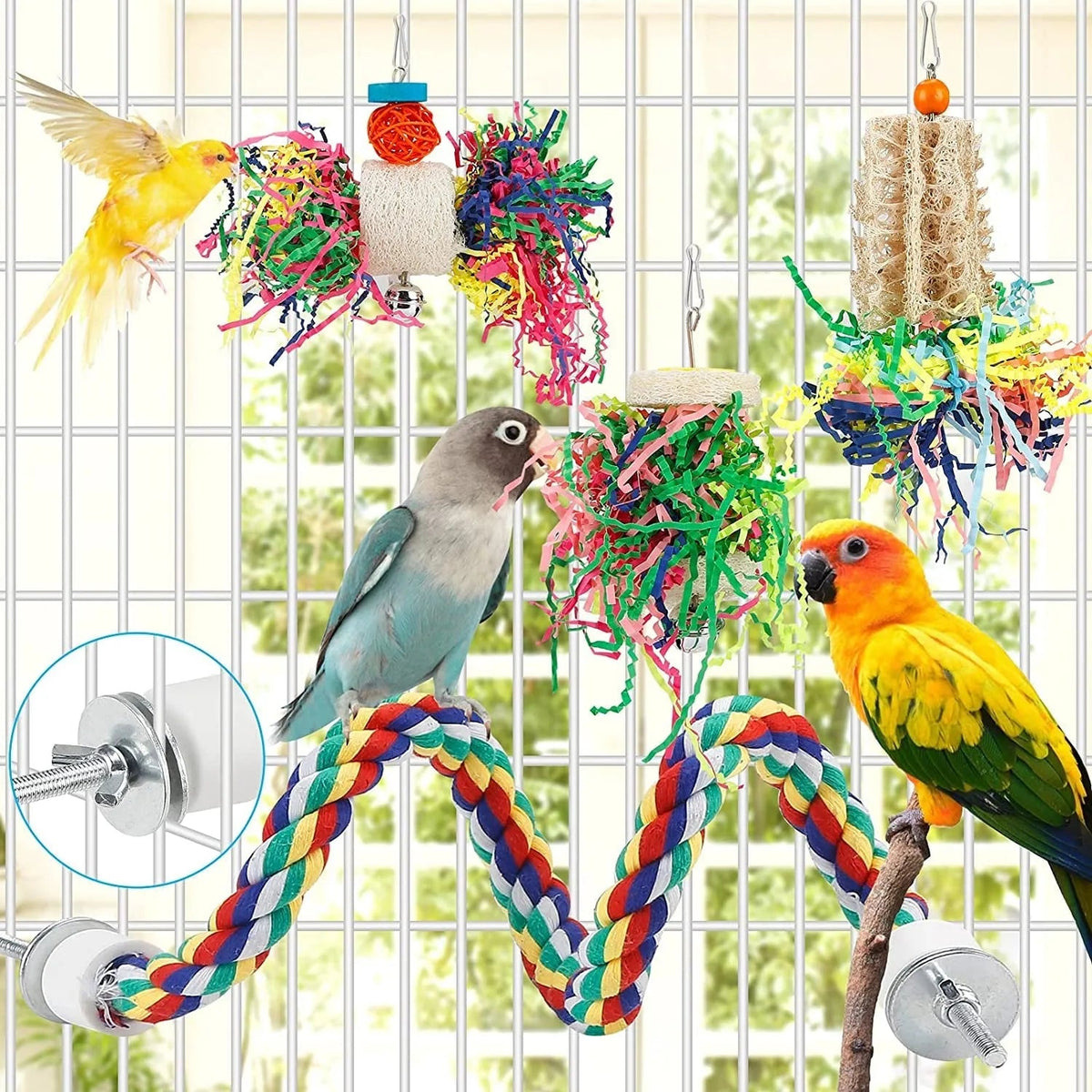 Conure accessories hotsell