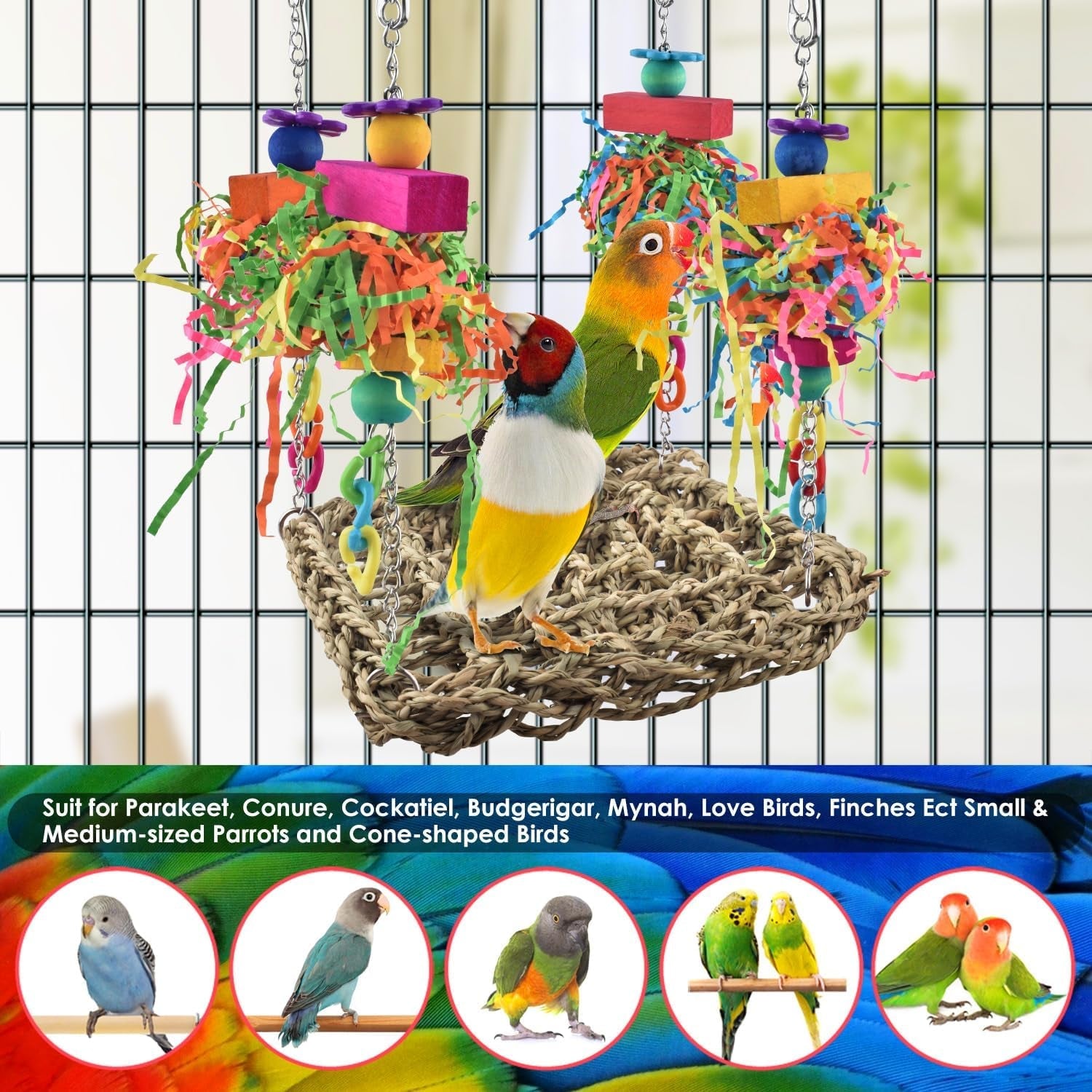 Conure Toys, Bird Grass Swing Mat Parrot Climbing Hammock with Colorful Toys for Small Birds - Quill & Roost