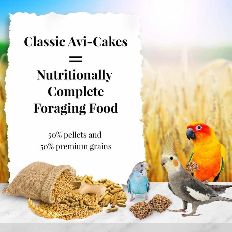 Lafeber Classic Avi-Cakes Gourmet Parakeet, Cockatiel & Conure Food - 8 oz - Quill & Roost