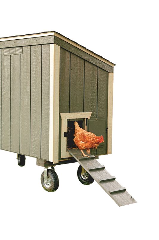 Luxury Lean - To Chicken Coop - 3'x5' - Quill & Roost