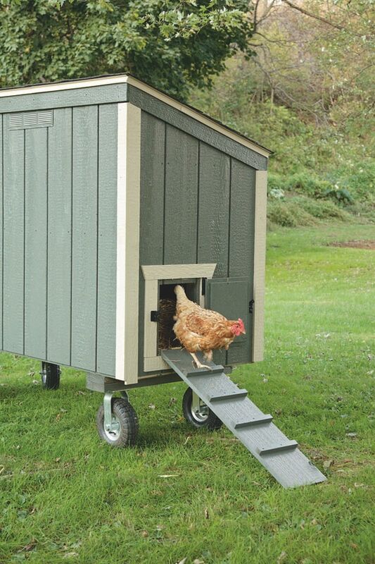 Luxury Lean - To Chicken Coop - 3'x5' - Quill & Roost