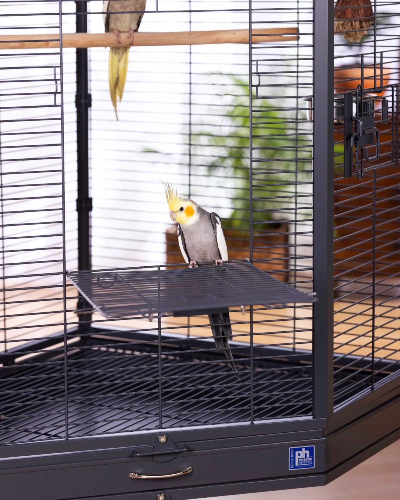 Prevue Corner Bird Cage with Playtop - Quill & Roost