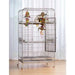 Prevue Imperial Stainless Steel Bird Cage, Extra Large - Quill & Roost