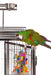 Prevue Large Stainless Steel Play Top Bird Cage - Quill & Roost