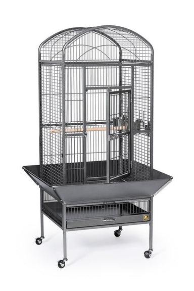 Prevue Medium Dome Top Bird Cage in Chalk White or Black, 24’’Lx22’’Wx59 1/2''H - Quill & Roost