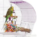 Prevue Palm Beach Scallop Roof Budgie Cage, Purple & White - Quill & Roost