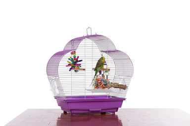 Prevue Palm Beach Scallop Roof Budgie Cage, Purple & White - Quill & Roost