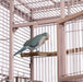 Prevue Play Top Bird Cage, 18"x18"x57" - Quill & Roost