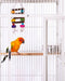 Prevue Play Top Bird Cage, 18"x18"x57" - Quill & Roost