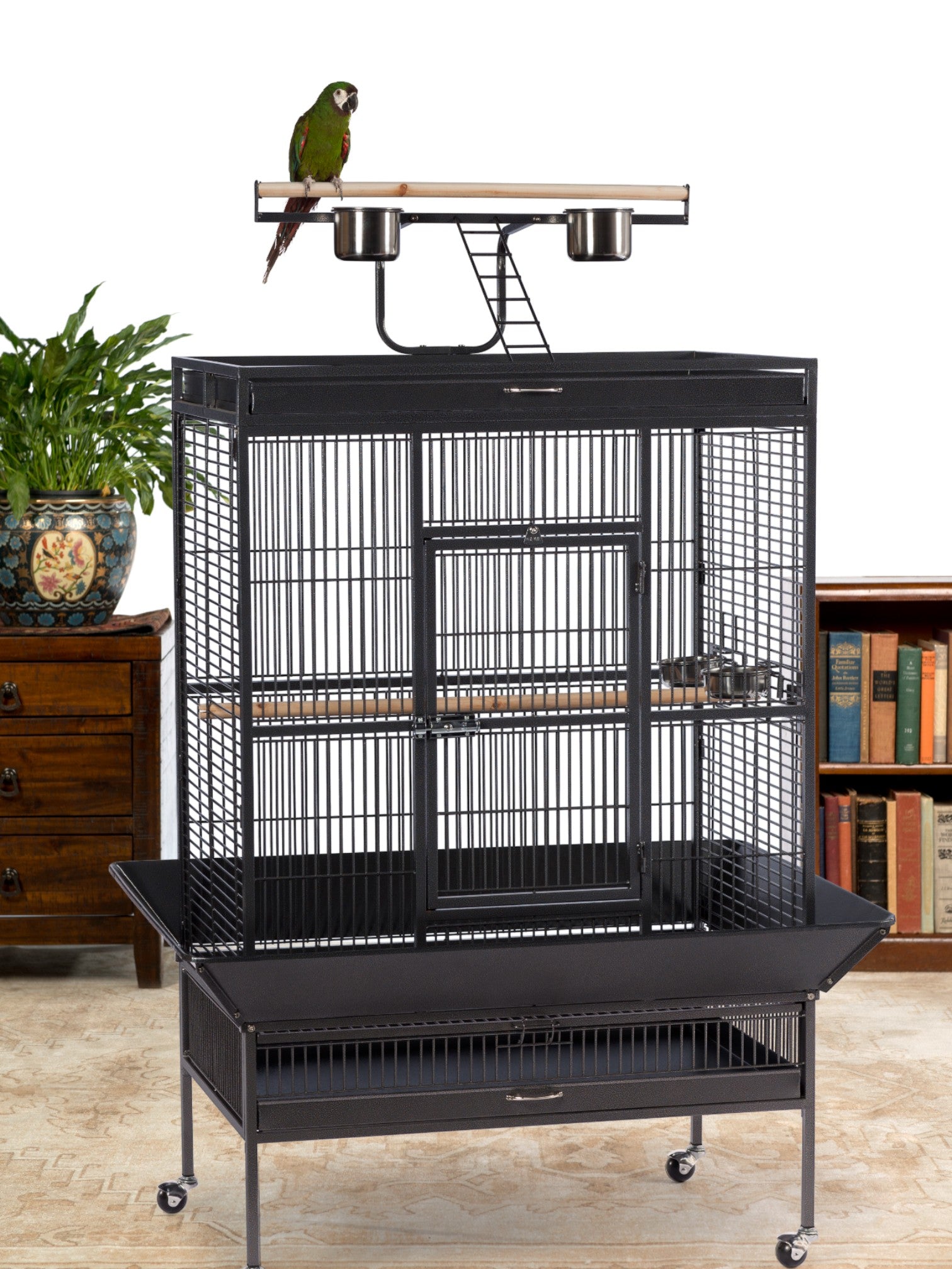 Prevue Select Playtop Bird Cage, 36"x24"x66" - Quill & Roost