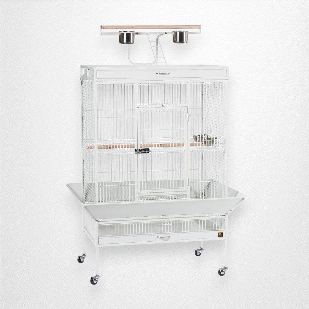 Prevue Select Playtop Bird Cage, 36"x24"x66" - Quill & Roost