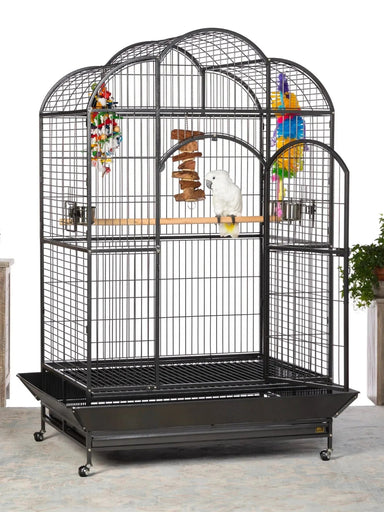 Prevue Silverado Macaw Bird Cage, 46"x36"x78 3/4" - Quill & Roost