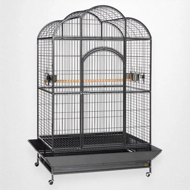 Prevue Silverado Macaw Bird Cage, 46"x36"x78 3/4" - Quill & Roost